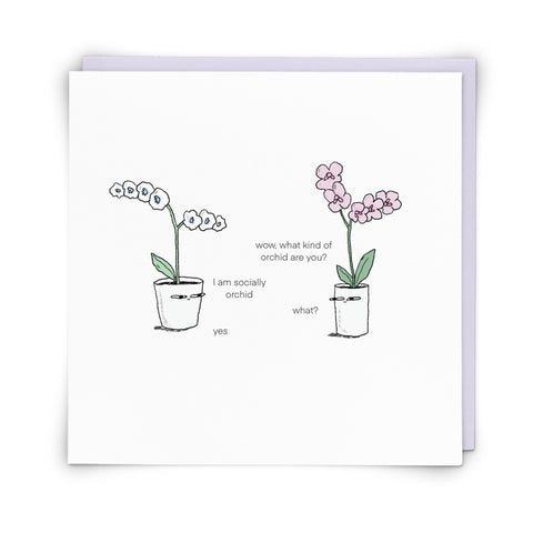 Wow what kind of orchid are you? Card