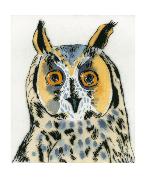 Long-Eared Owl By Richard Spare