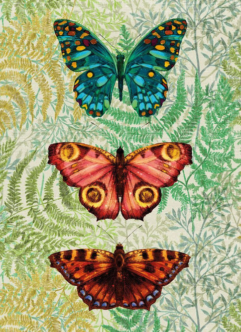 Butterfly Ferns Greetings Card