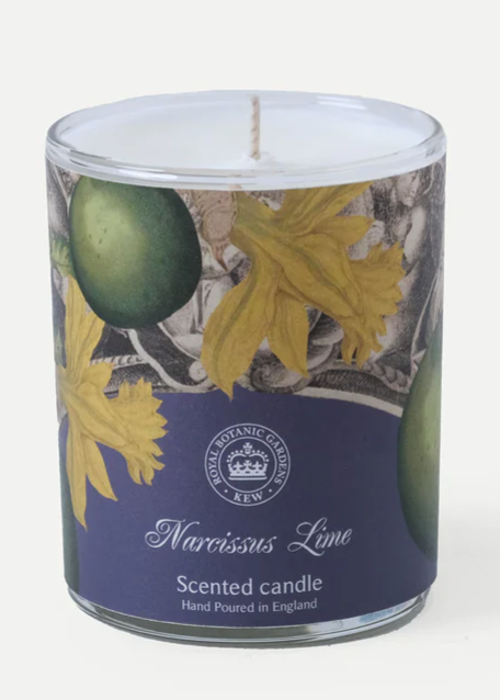 Kew Gardens Narcissus Lime 170g Candle
