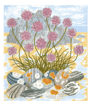 Sea Pinks and Pebbles by Angie Lewin Card