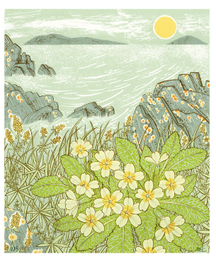 Island Primrose by Angie Lewin Card