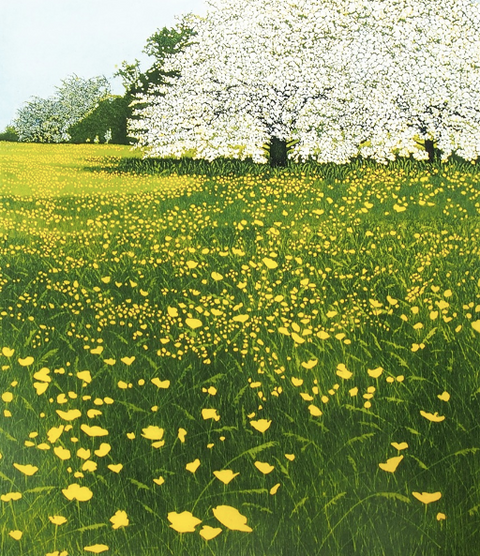 May By Phil Greenwood Greetings Card