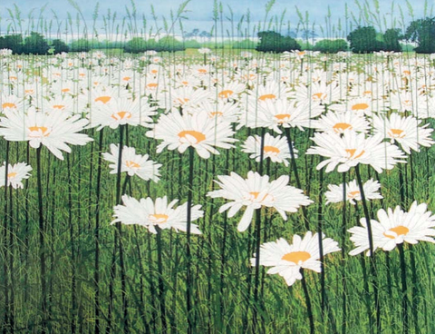 Daisy By Phil Greenwood