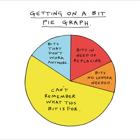 Getting On A Bit Pie Graph