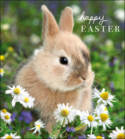 Happy Easter pack of 5 cards