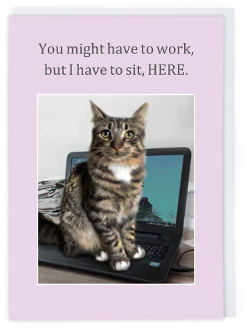 Working From Home Cat Greetings Card