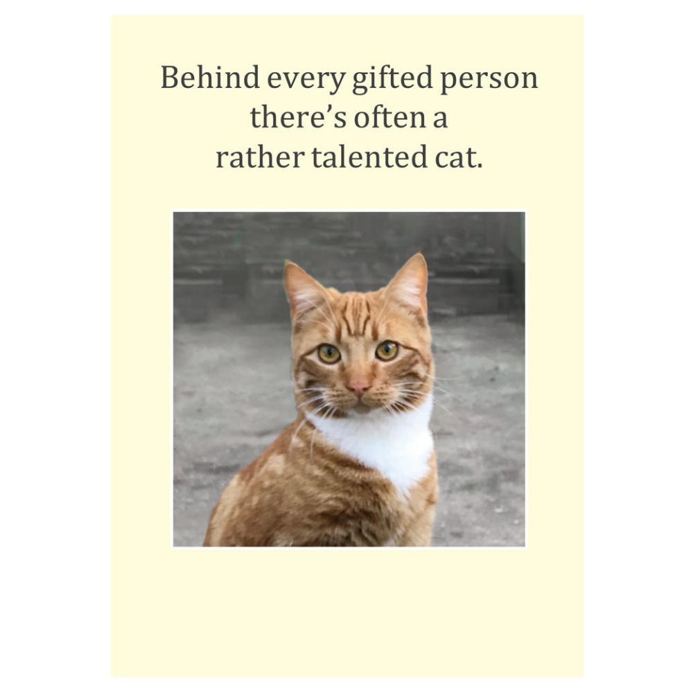 Gifted Person Talented Cat