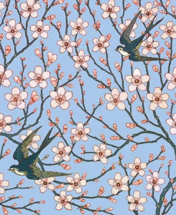 Almond Blossom and Swallow
